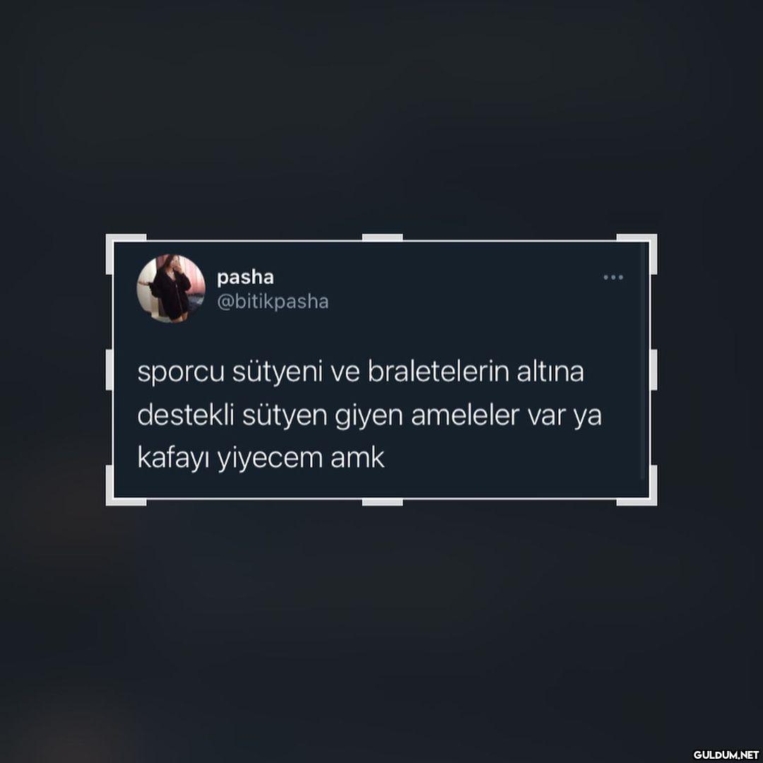 Hay allam  pasha...