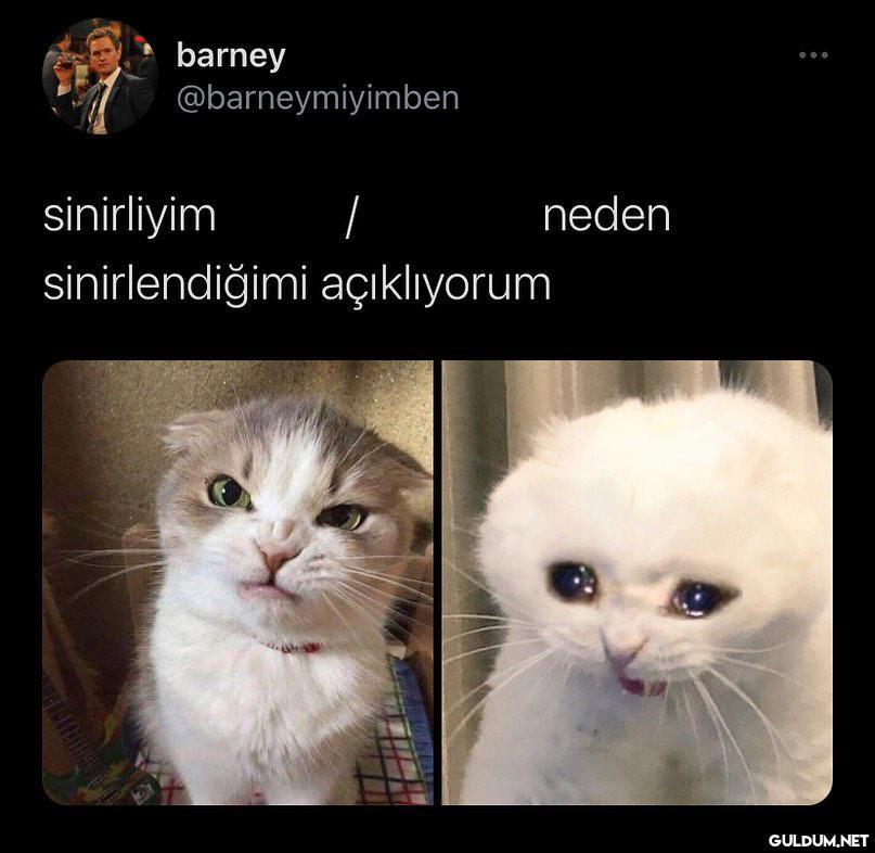 barney @barneymiyimben...