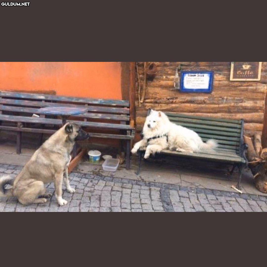 epik sohbetler  Hikayene...
