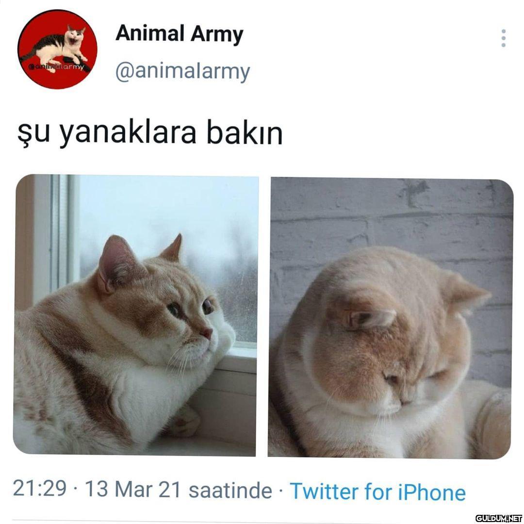 Popular post