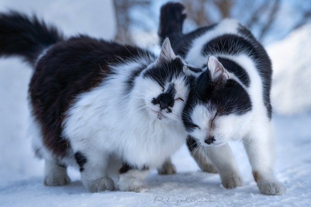 Keeping each other...