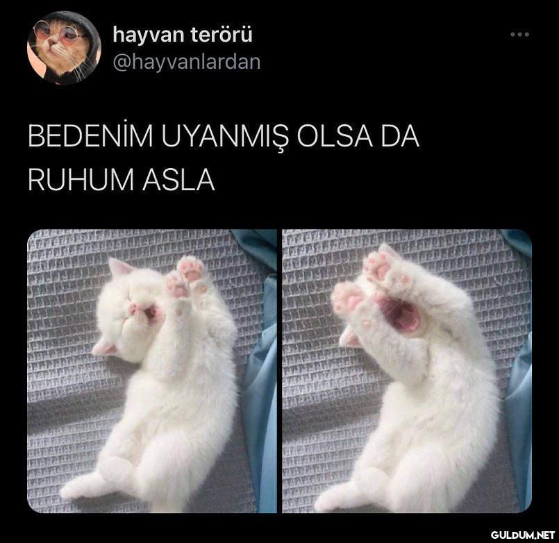 sabah sekizden beri aynen...