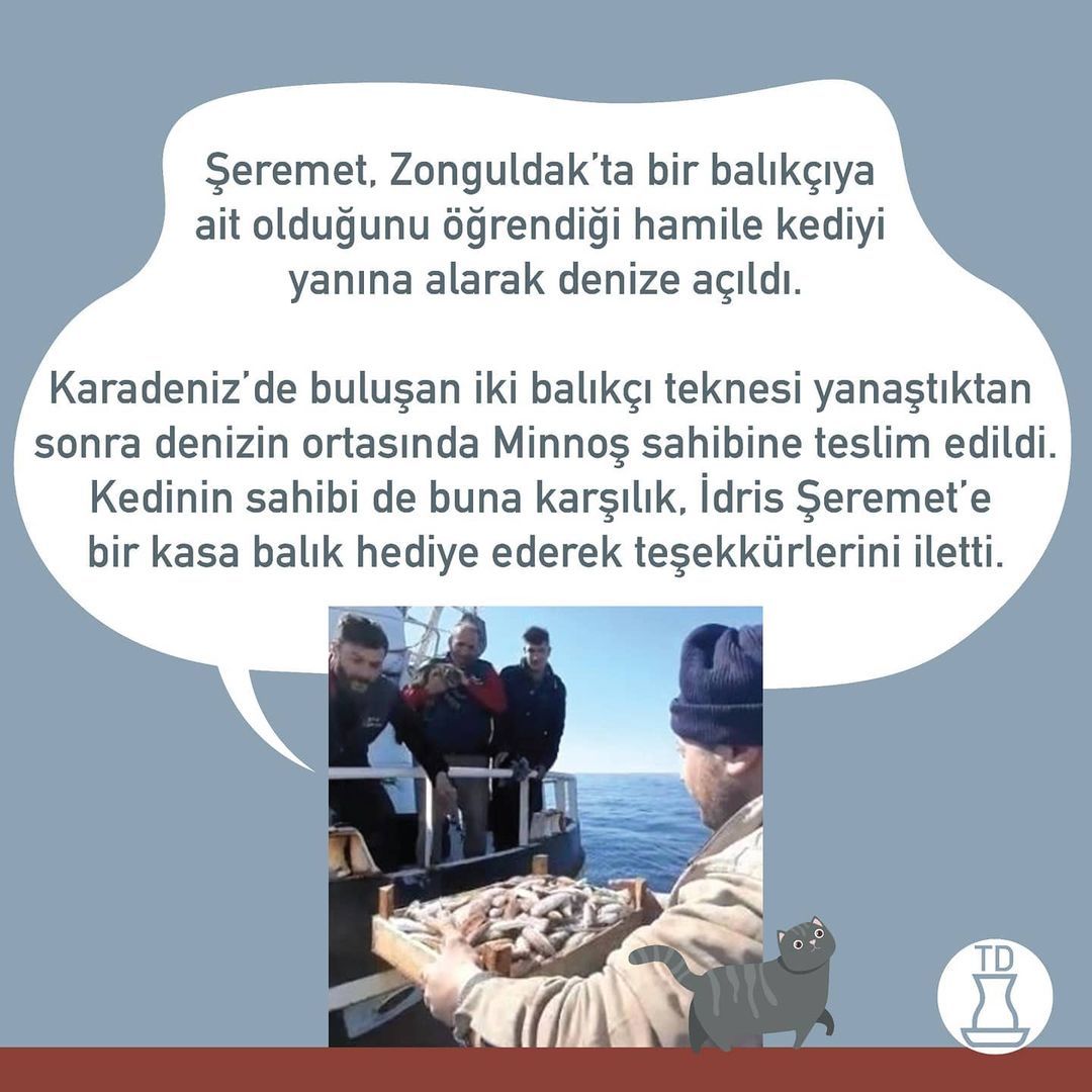 Swipe for English 👉 Güzel...