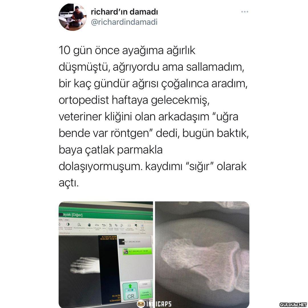 richard'ın damadı...