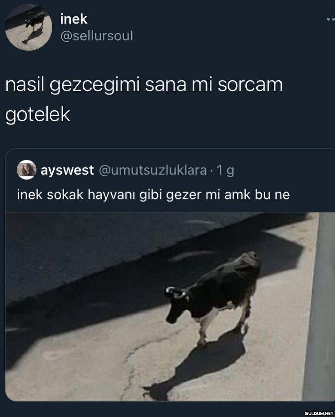 Düşünsene sokakta kendi...