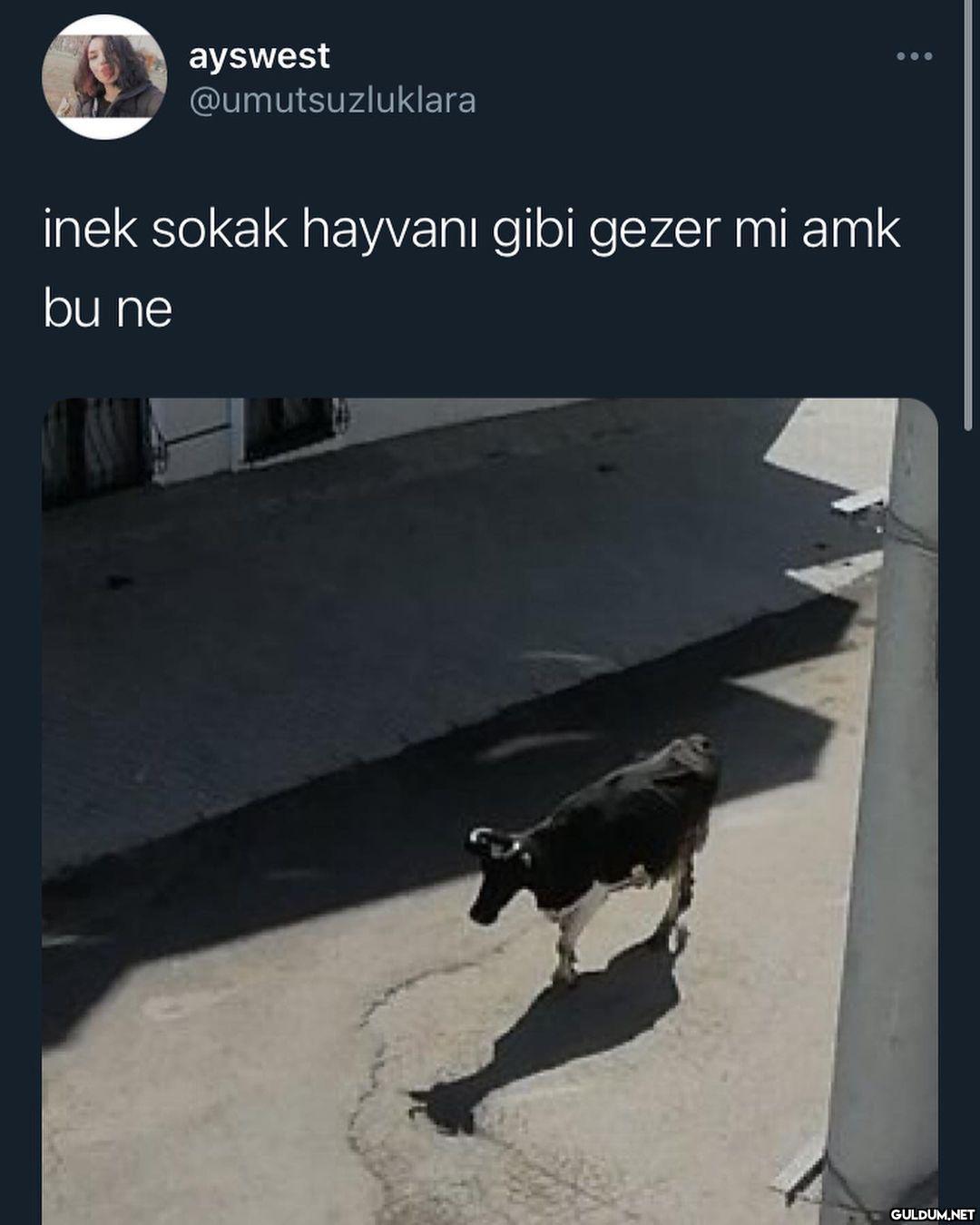 Düşünsene sokakta kendi...