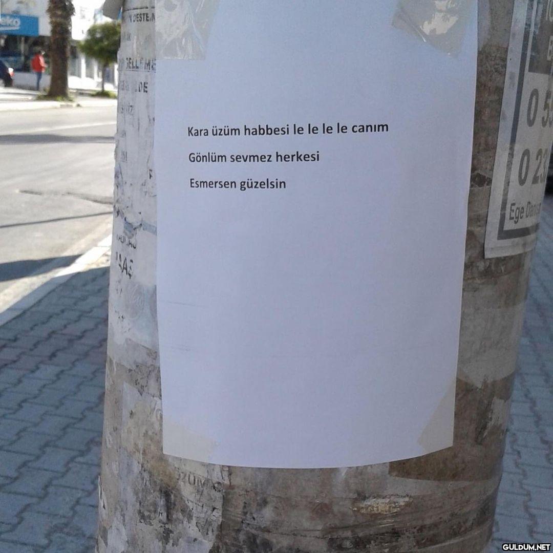 anlamsız fotoğraflar 3339 ...