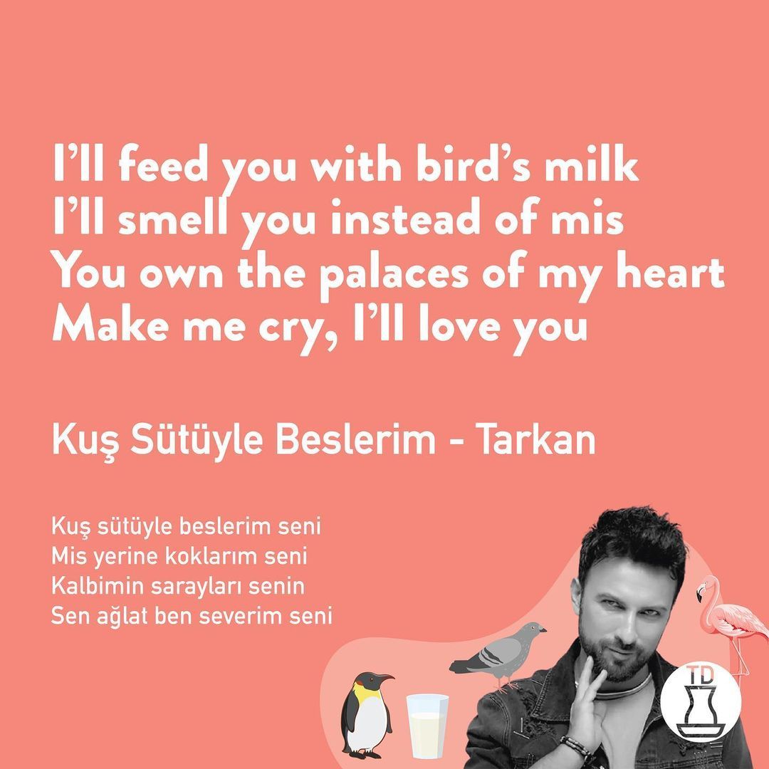 Tekrar düşünün, kuş sütü...