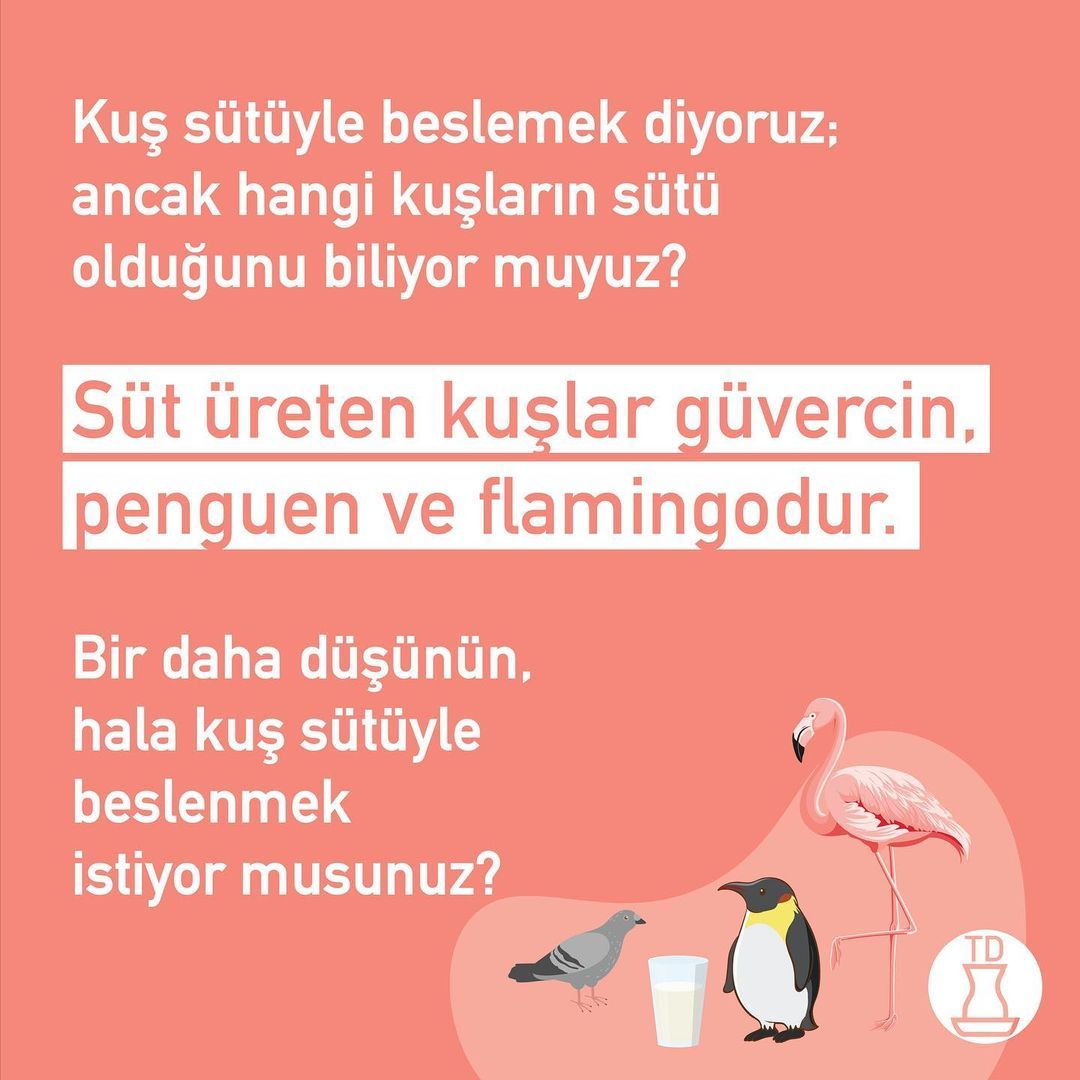 Tekrar düşünün, kuş sütü...