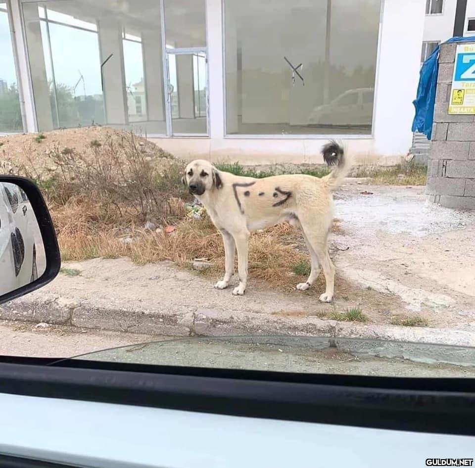 Bu ülkenin jeopolitik...