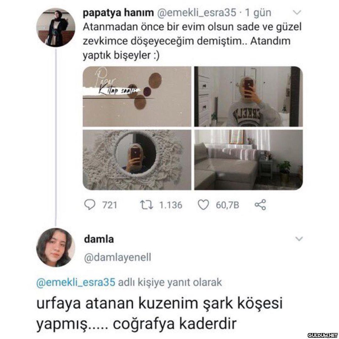 ikinci daha guzel  papatya...