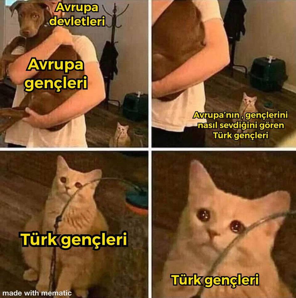 https://t.co/nc8oyKnrug ...