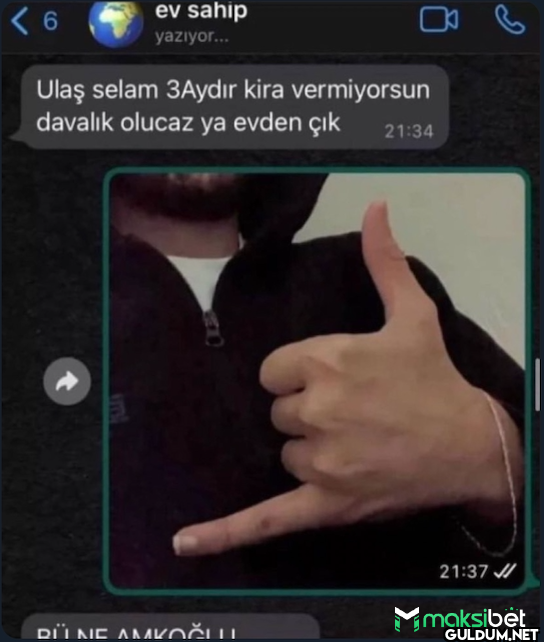 < 6 ev sahip yazıyor... 06...