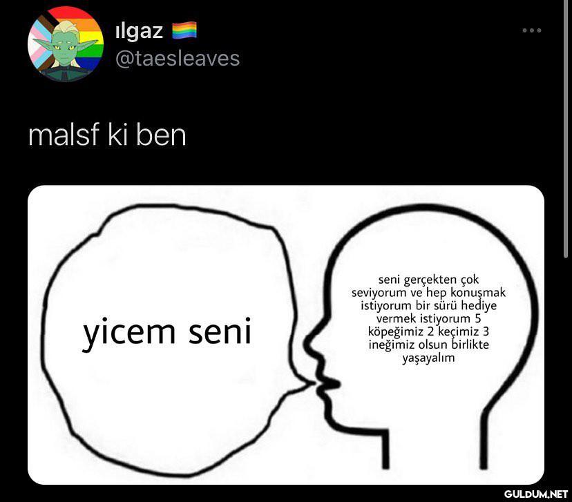 ilgaz @taesleaves malsf ki...