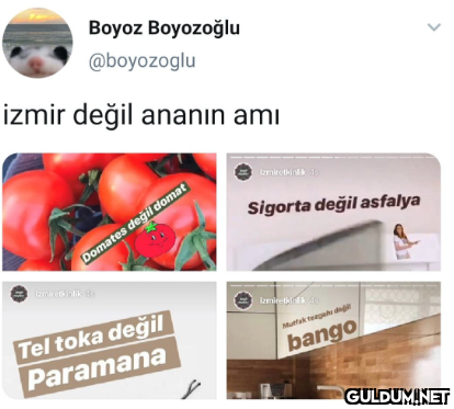 Boyoz Boyozoğlu @boyozoglu...
