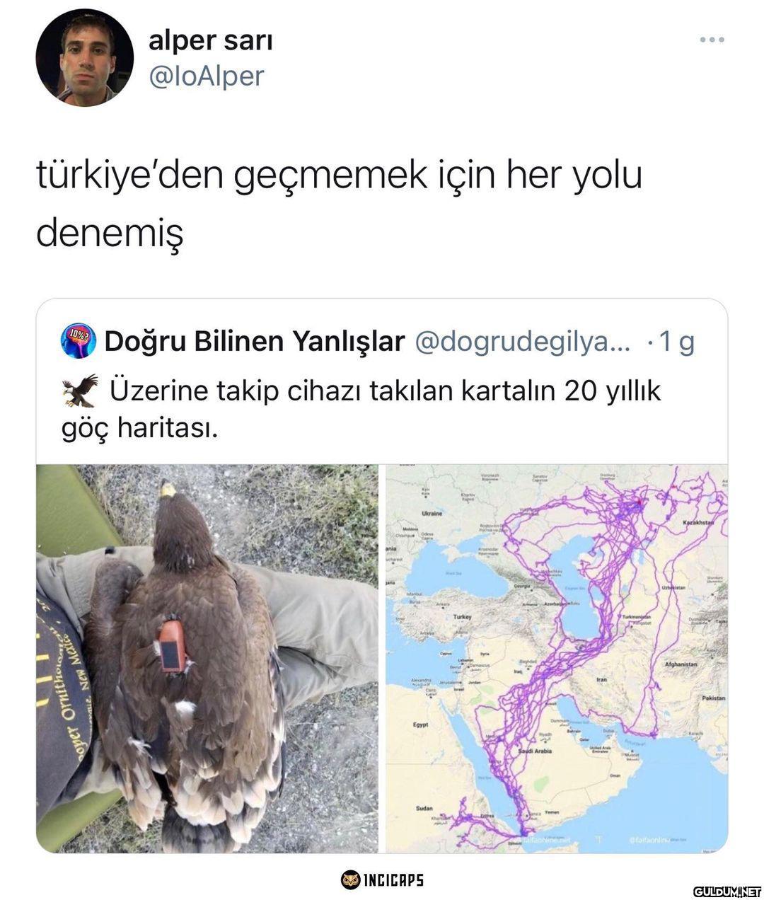alper sarı @loAlper...