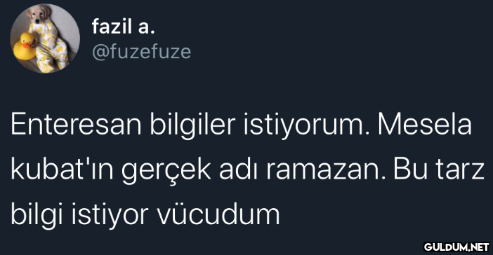 fazil a. @fuzefuze...