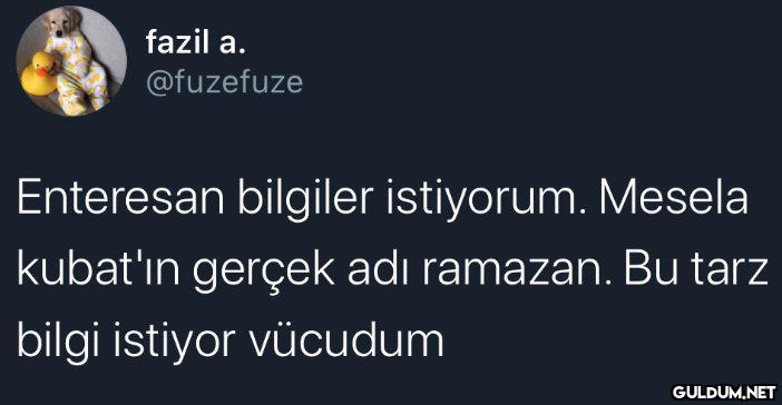 Var mı böyle gereksiz...