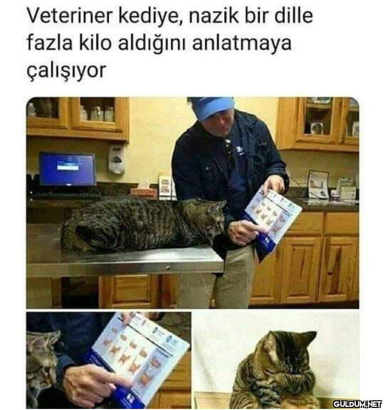 https://t.co/kg1X0Cz67M ...