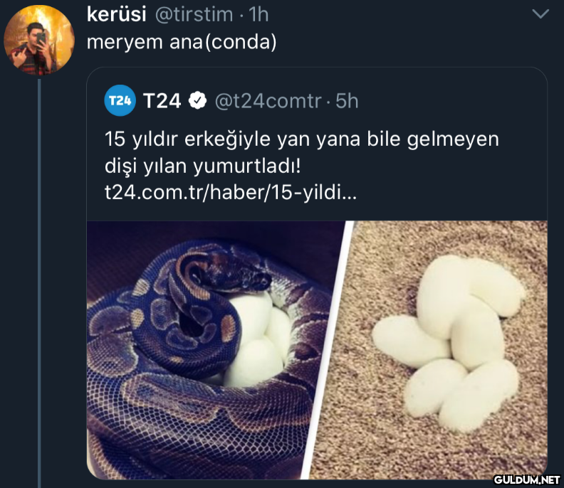 kerüsi @tirstim · 1h...