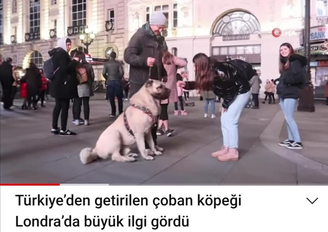 Career goals......  Kaynak