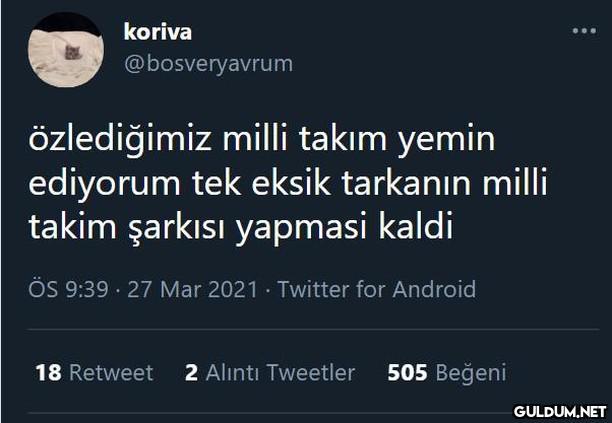 Tebrikler Milli Takım...
