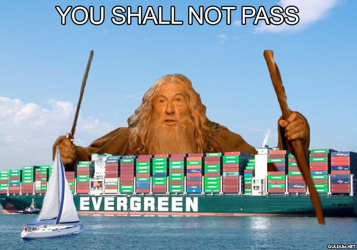 Evergreen be like:...