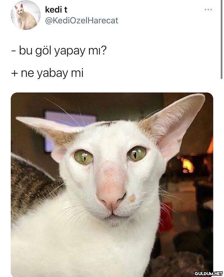 https://t.co/AzdIIlMzXw ...