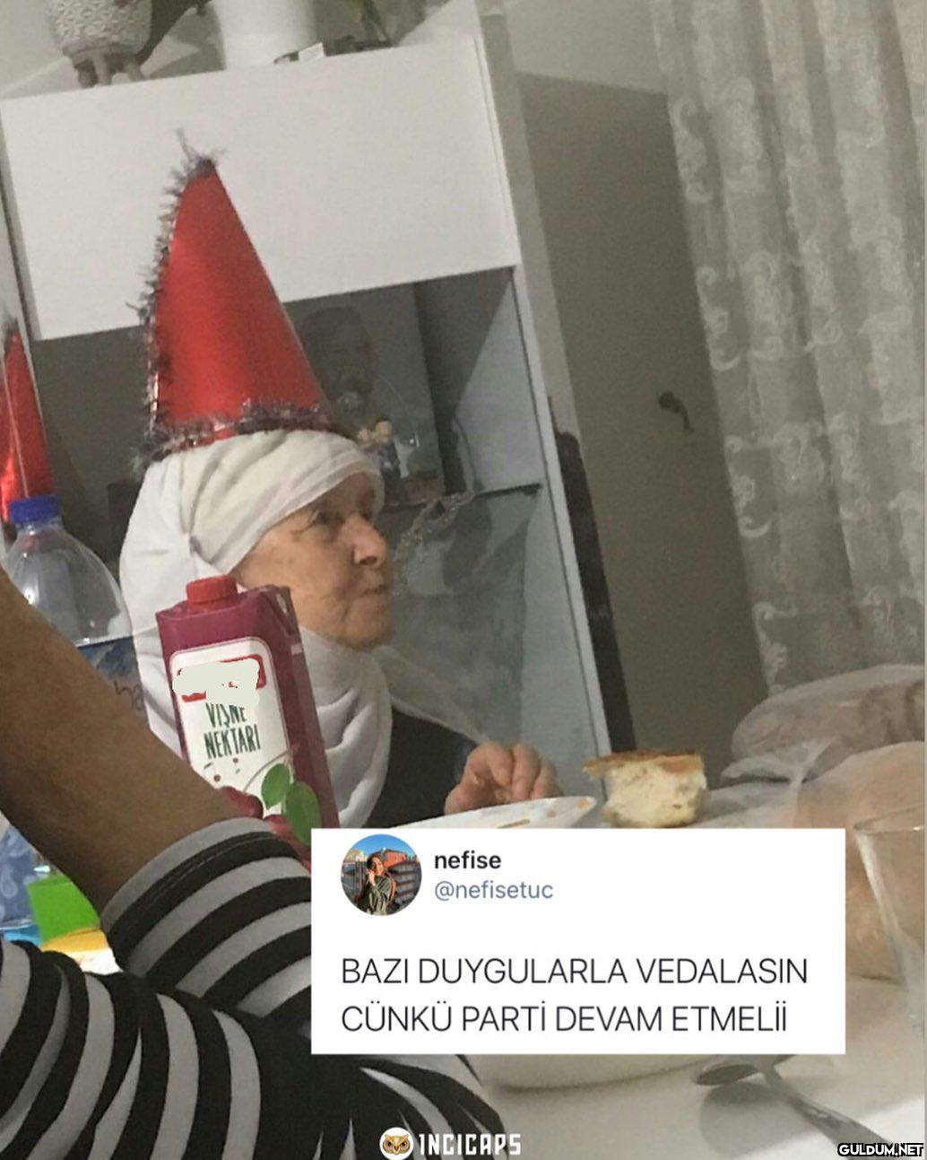 VIŅNE NEKTARI nefise...