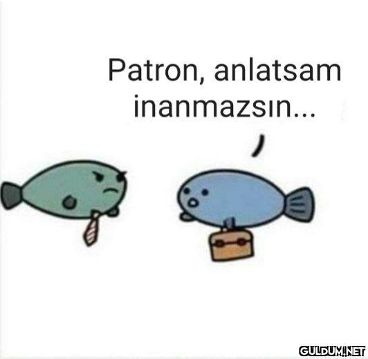 https://t.co/WwafJxymRk ...