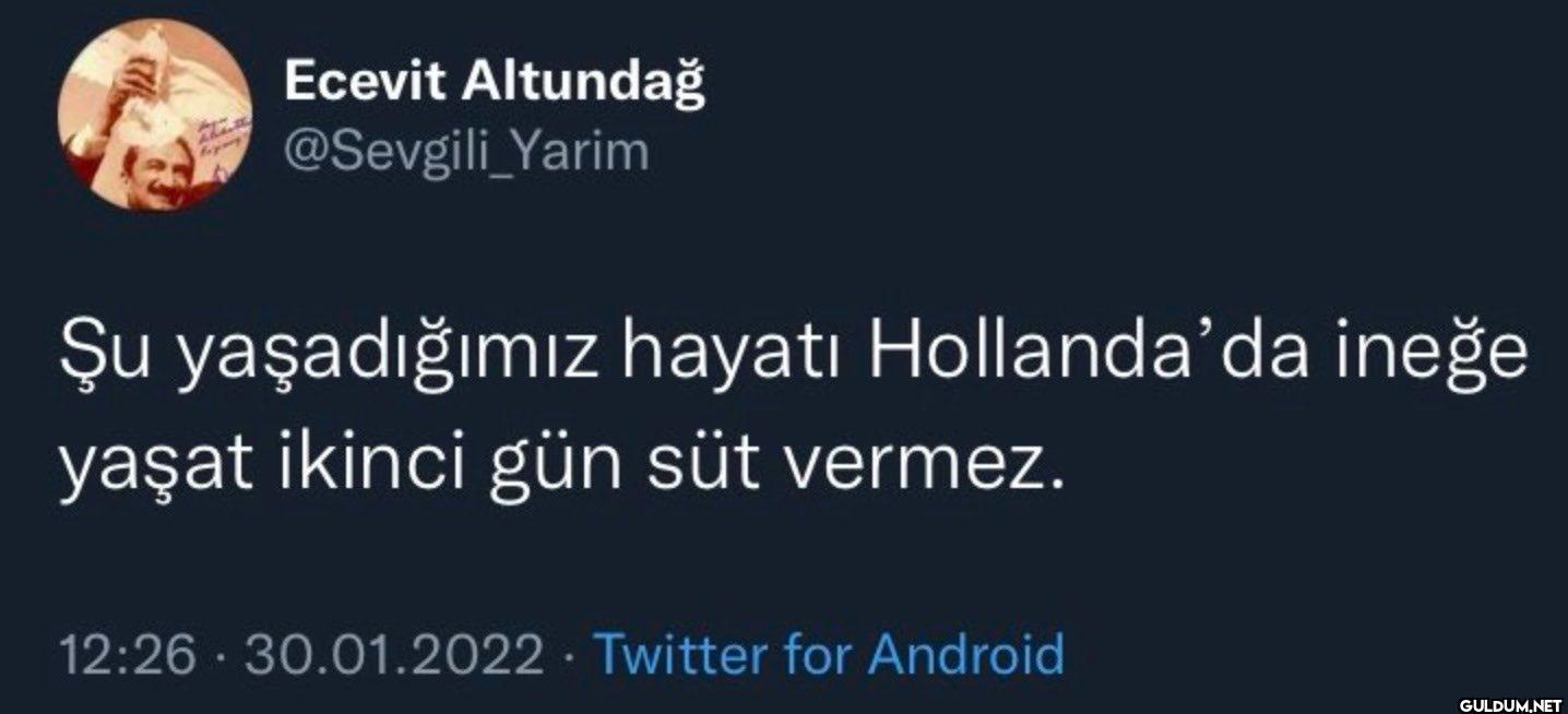 Şu yaşadığımız hayatı...