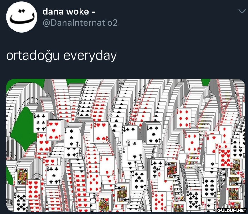 dana woke -...