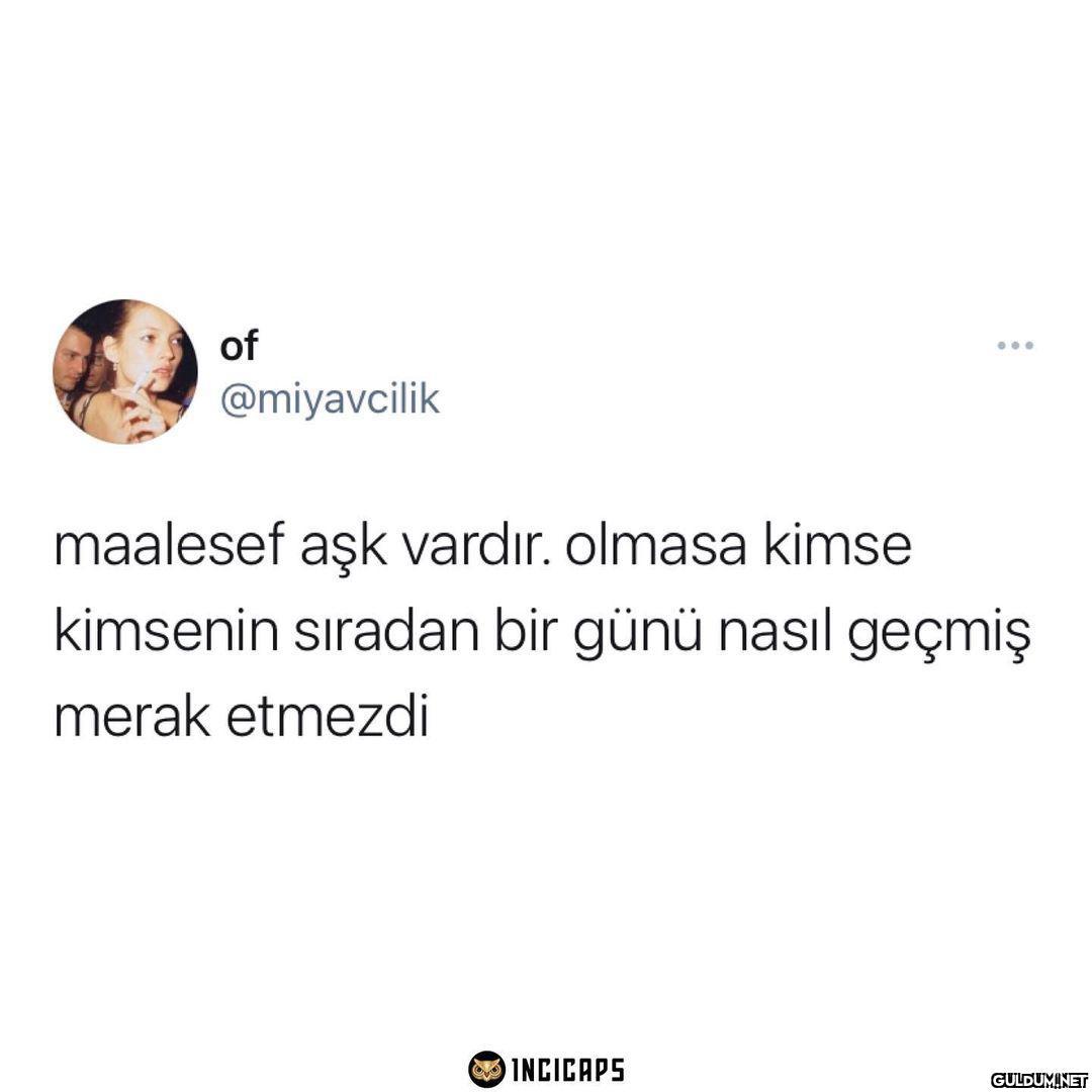 of @miyavcilik maalesef...