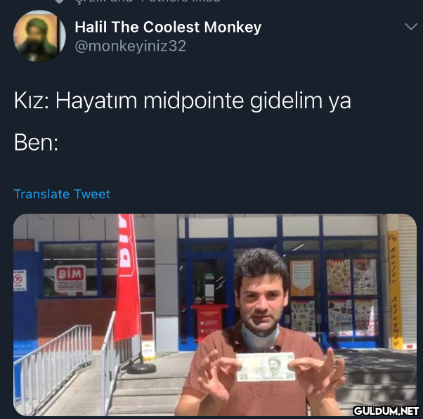 Halil The Coolest Monkey...