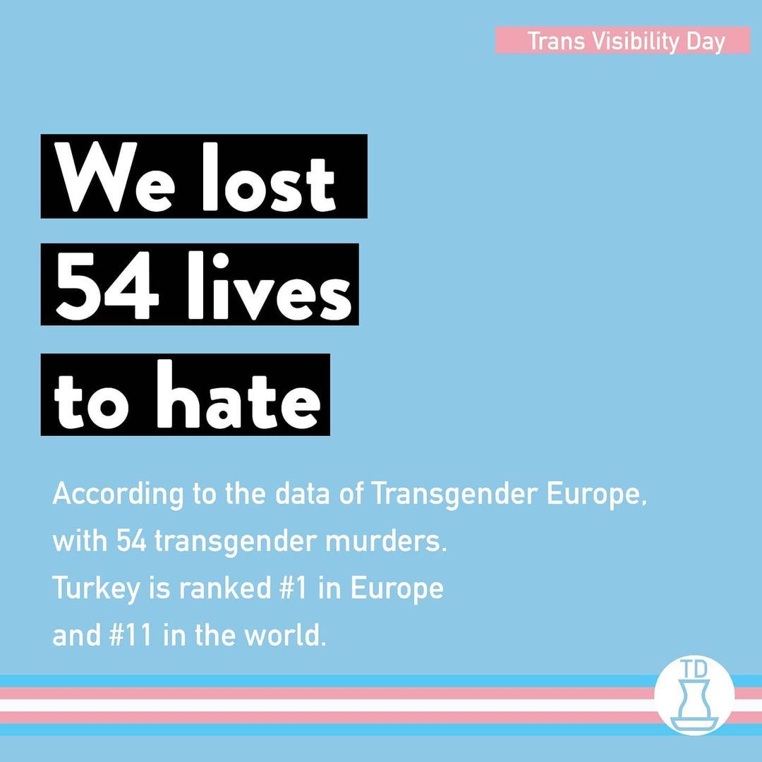 Today is Trans Visibility...