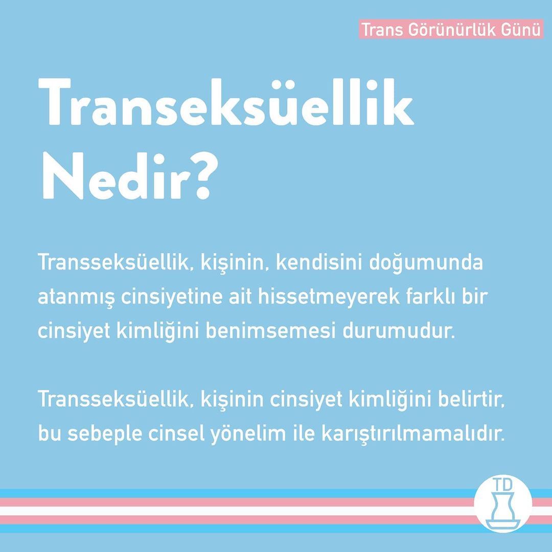 Today is Trans Visibility...