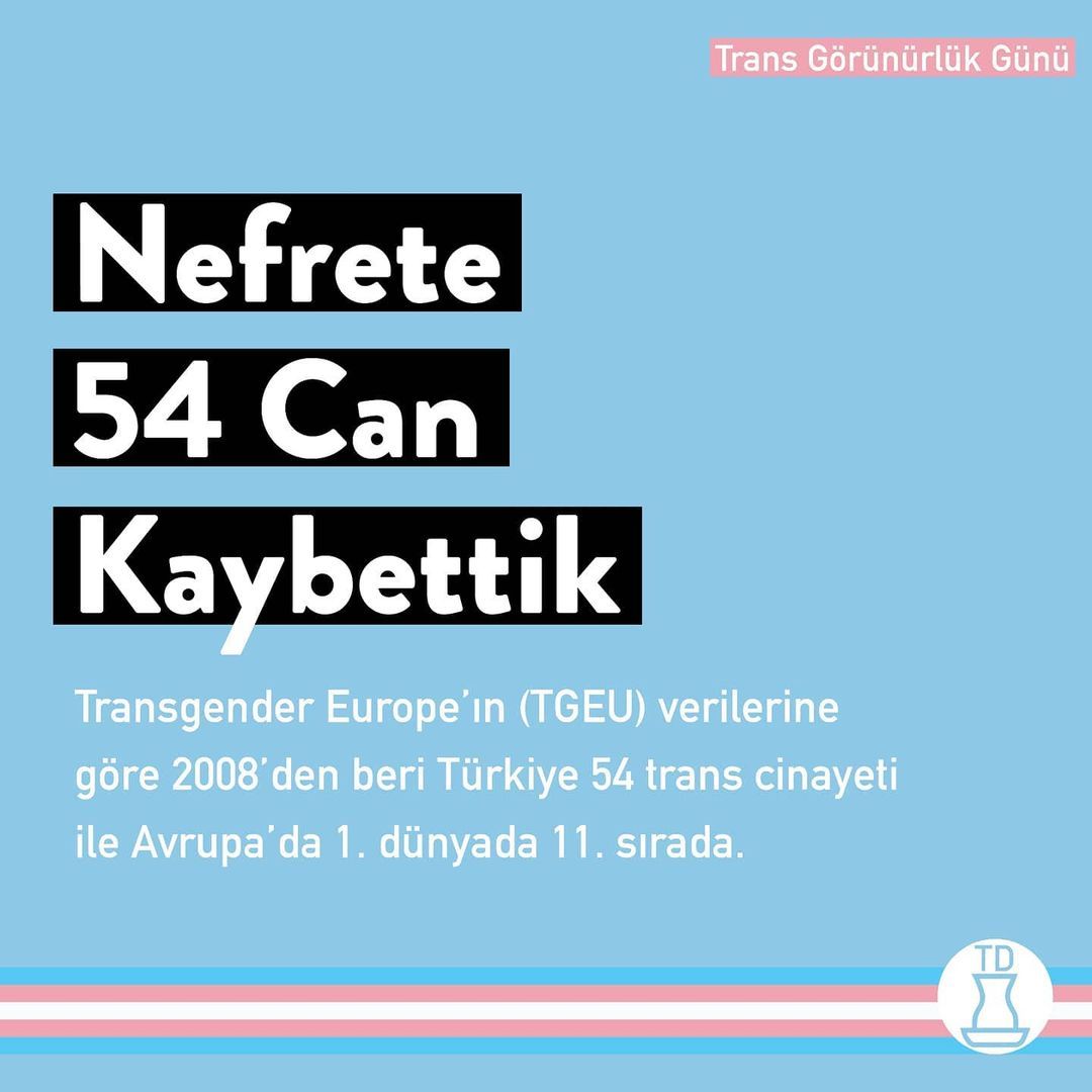 Today is Trans Visibility...
