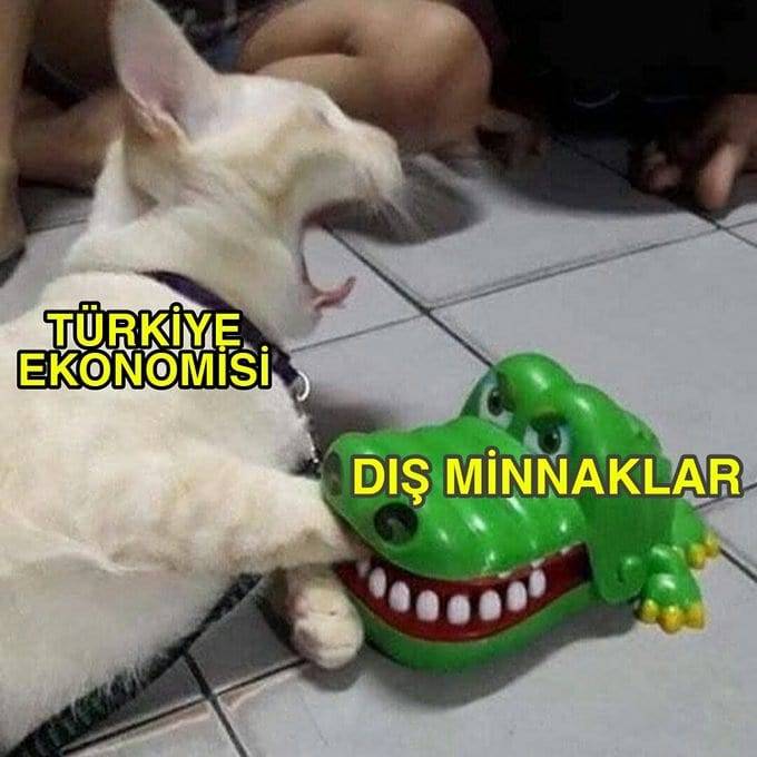 TÜRKİYE EKONOMISİ DIŞ...