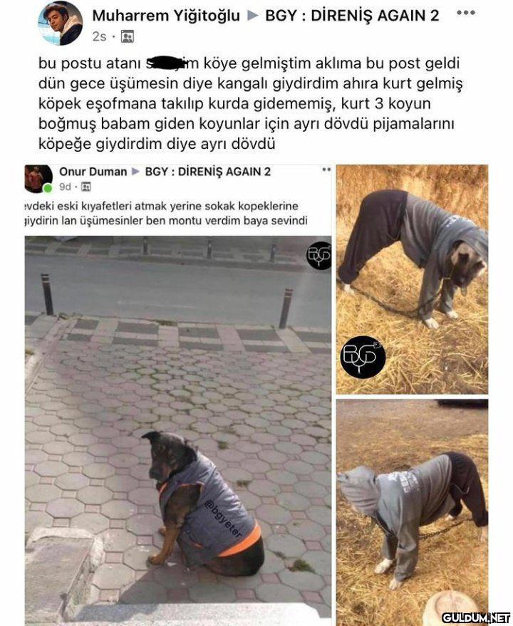 https://t.co/uw8QFzE7dp ...