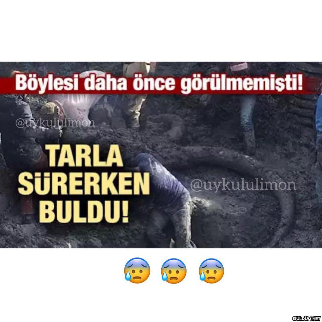 Gerçekten izlerken...
