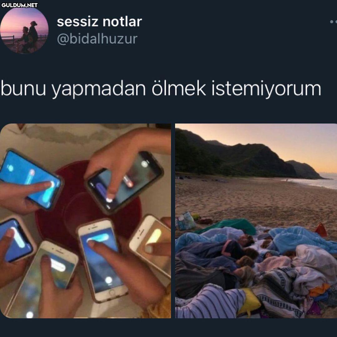 Hayvan gibi iyi aktivite ...