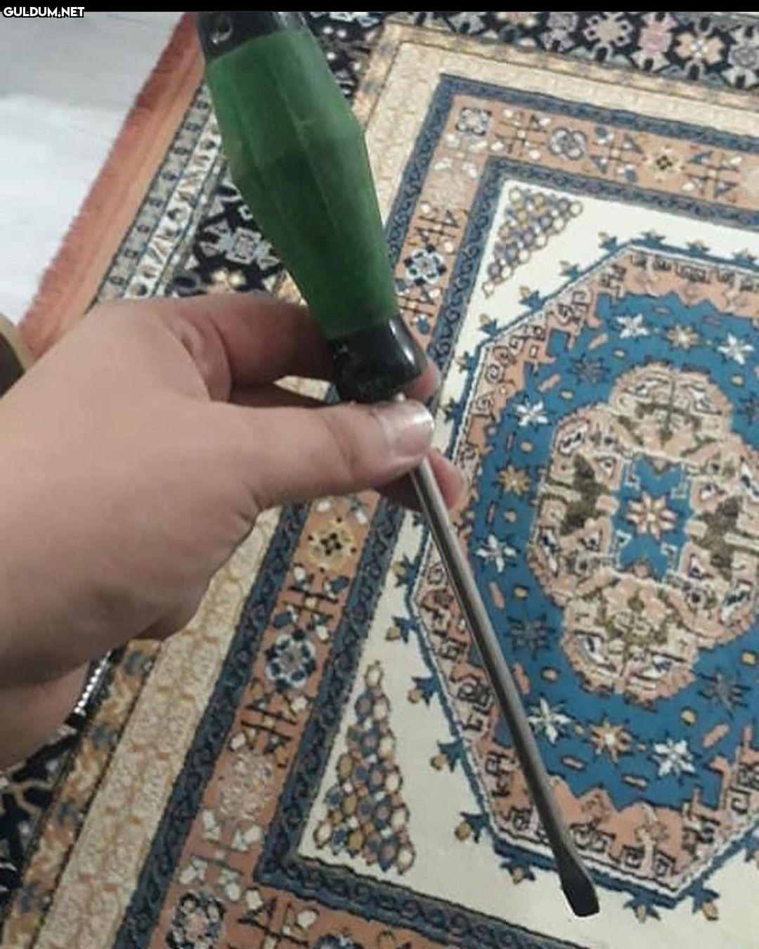 Mücahit Maden > AOG Yedek...