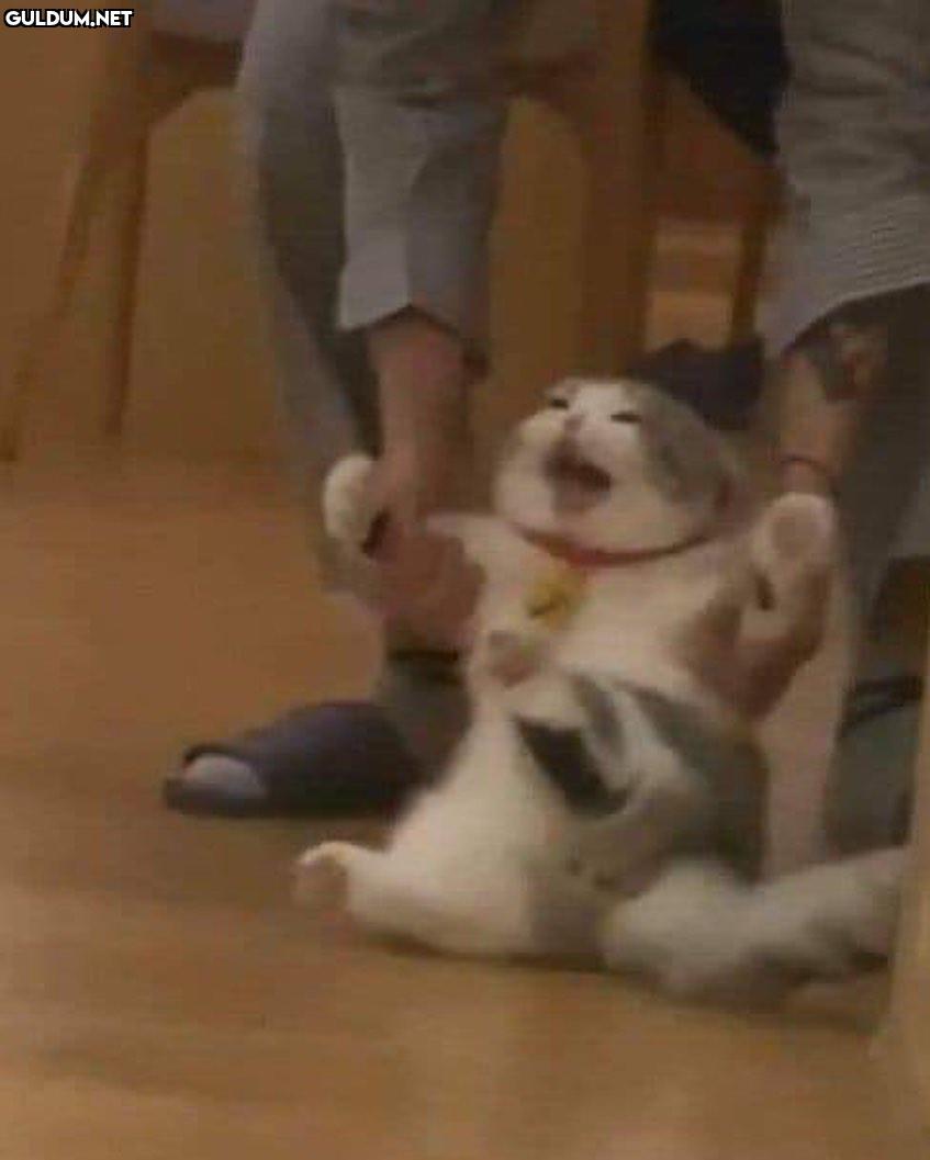 biraz current mood  Kaynak