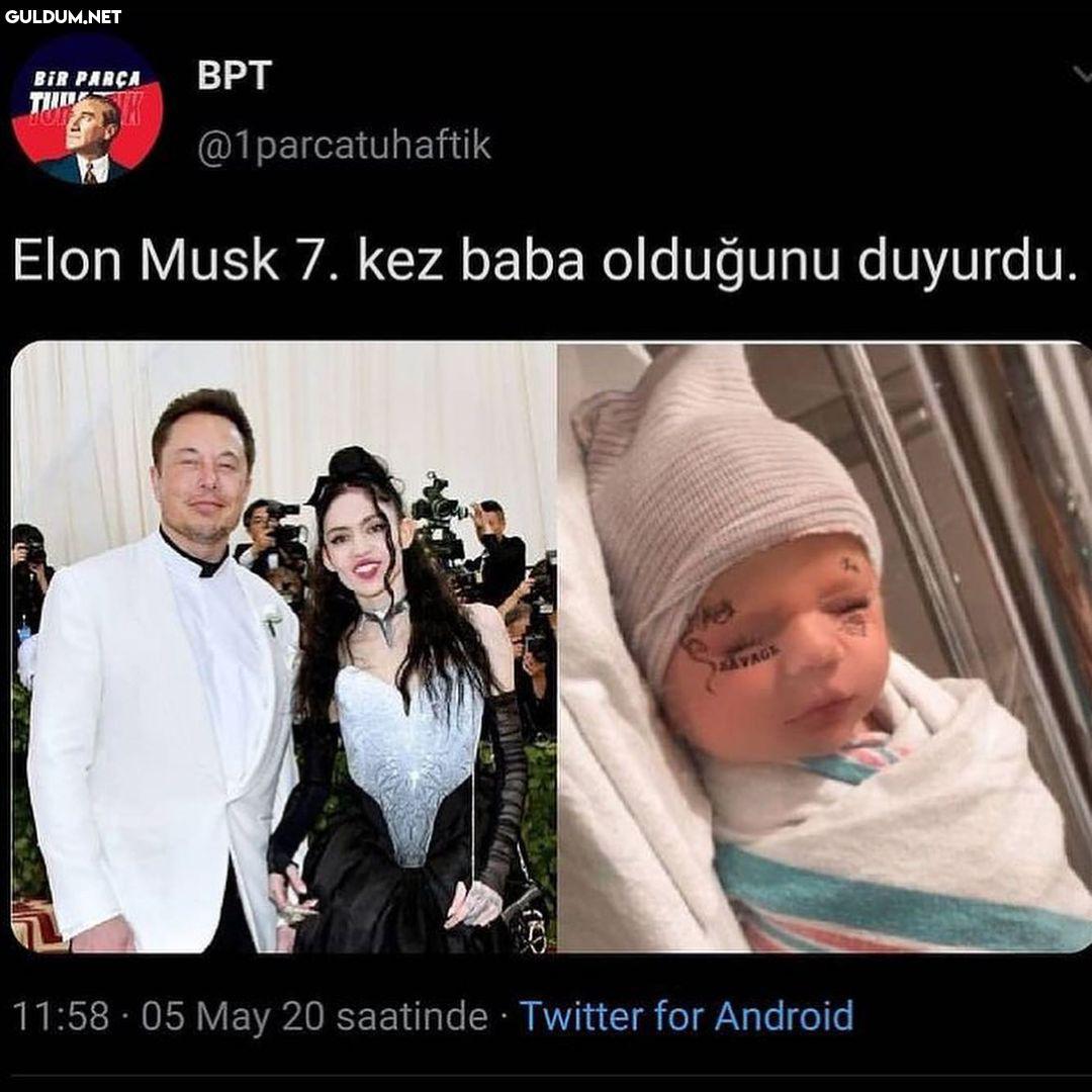 Fair   Elon Musk 7. kez...