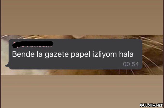 Doru   Bende la gazete...