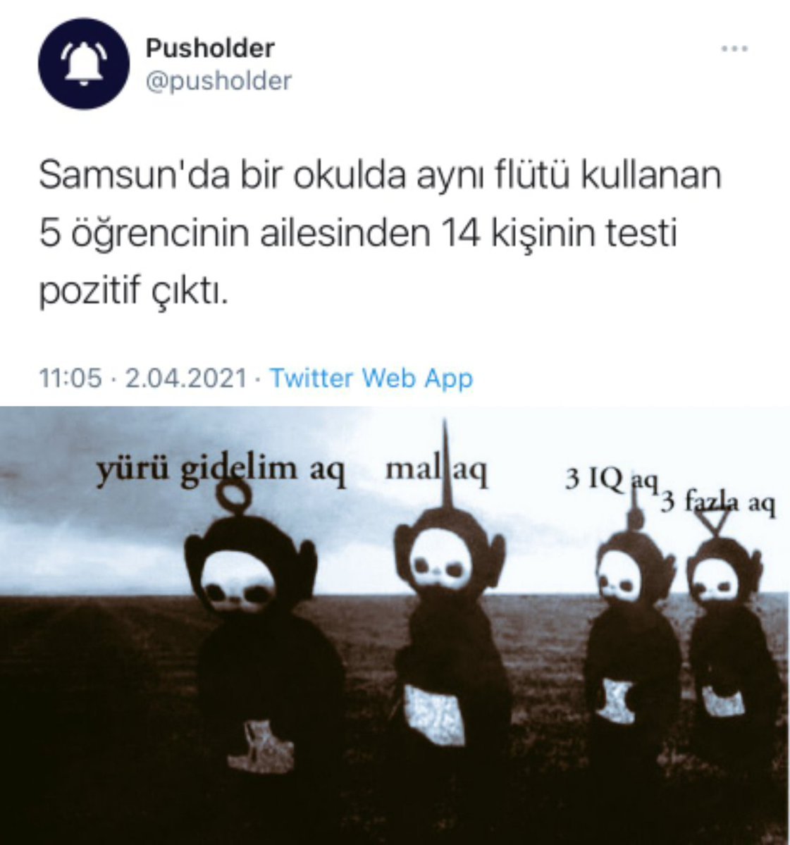 Pusholder ... @pusholder...