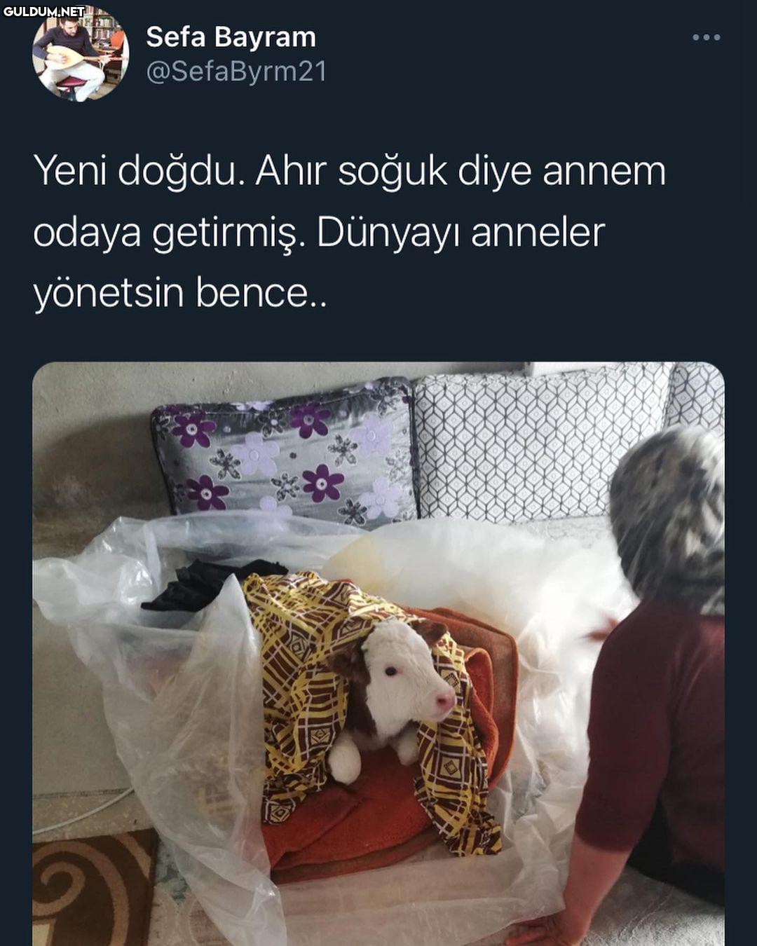 Çok tatlı lan...