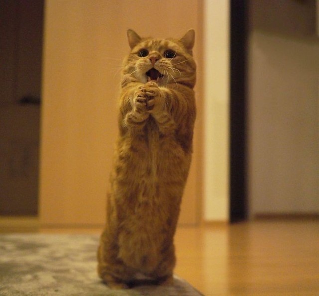 AND IIIIIIIIIIIIIIIIIIII...