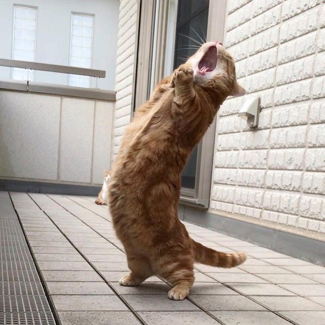 AND IIIIIIIIIIIIIIIIIIII...