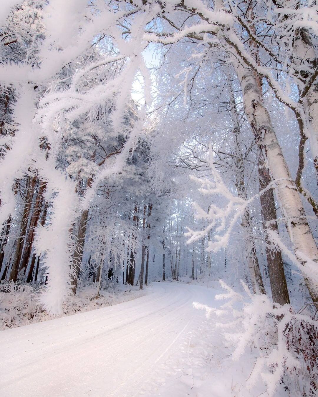 Winter in Finland ❄️...